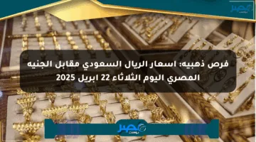 فرص ذهبية: أسعار الريال السعودي مقابل الجنيه المصري اليوم الثلاثاء 22 أبريل 2025